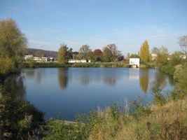 Vltava 6-Lahovická nádrž 21.10.08.JPG